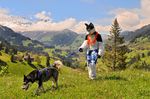  canine dog feral furries_with_pets fursuit husky leash lei malamute male mammal mountain nature real scenic switzerland tigersclaw tree unknown_artist wood 