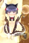  animal_ears aoi_usagi apron bad_id bad_pixiv_id black_hair blush cat_ears gokou_ruri hairband long_hair looking_at_viewer maid ore_no_imouto_ga_konna_ni_kawaii_wake_ga_nai pantyhose red_eyes sitting solo tail tsurime 