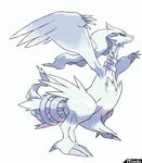  pok&eacute;mon reshiram solo tagme 