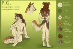  borzoi brown_hair canine dog hair kittiara long_hair male mammal model_sheet nude pg sheath solo spots tongue wolfhound 