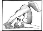  autofellatio bd canine cum dog erection male mammal masturbation oral penis plain_background selfsuck socks solo white_background 