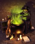  2006 anthro book candle canine cauldron feral fox hat male tail taurin_fox 