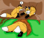  den feral fox mammal matchboxking stuck 