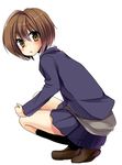  blush brown_eyes brown_hair masayu original school_uniform short_hair solo squatting 