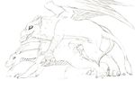  avian couple deihnyx dragon feral gryphon male scalie wings 