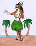  antelope beach black_nose countershading dancing female gazelle hawaiian hooves horns hula rabbi-tom seaside solo 