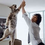 andy_samberg animal cat clothing dress_shirt epic feline feral hair happy high_five human looking_at_viewer lynx mammal necktie on_one_leg open_mouth painting plushie real smile taxidermy tie 