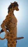  2009 balls erection giraffe humanoid_penis kadath male nipples nude patrick_(kadath) penis raised_tail solo tail 
