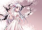  cherry_blossoms kasugano_sora long_hair pink silver_hair solo yosuga_no_sora ysrandy 