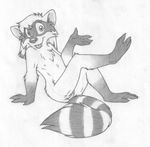  2010 amarimasi cub female nude pussy raccoon sketch solo 