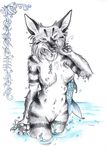  female fish gilda_laura_rimessi hyena mammal marine multi_nipple nipples nude sans sanssouci solo water wet 