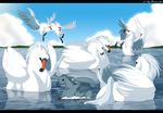  avian bird clouds equine flying horse hybrid jinksydawg pegasus reflections swan water white 