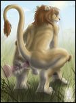  anal anus balls blush butt dildo feline lion male raised_tail sex_toy solo tail zen 