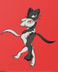  black cat cute darkdoomer feline female hug kittie male miw nude straight white 