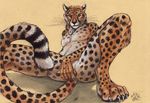  blotch cheetah covering covering_self feline looking_at_viewer male mammal sitting solo spread_legs spreading 