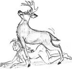  alyn_gryphon animal antlers buck cervine deer doggy_position domination female feral hooves horns human interspecies male penetration pinned rape sex stag vaginal vaginal_penetration zoo 