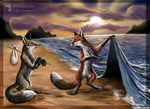  2009 beach canine culpeofox feral fox hax seaside shore sunrise surreal water what_has_science_done 