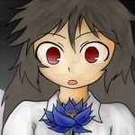  black_lotus lowres magic:_the_gathering pianna reiuji_utsuho solo touhou 