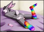  anus balls blush butt girly lagomorph lube male penis presenting rabbit rainbow rainbow_socks shiuk snugglebunny socks solo tail thong 