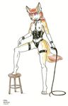  breasts canine clothed clothing corset dominatrix female fox fur hair long_hair mammal nipple_piercing nipples opal_weasel panties piercing plain_background pointing red_hair skimpy solo stool tail underwear whip white white_background white_fur yellow yellow_fur 