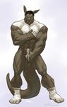  anthro balls biceps big_muscles black_hair bottomless brown_skin clothing cum cum_drip cum_on_ground cum_on_hands cum_on_penis dripping erection eyes_closed hair humanoid_penis kangaroo male mammal marsupial masturbation muscles nude pecs penis plain_background plantigrade pose shirt shirt_lift short_hair socks solo standing thewielder tight_clothing white_background 