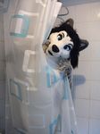  blue_eyes canine female fursuit hair looking_at_viewer mammal real shower solo unknown_artist wolf 