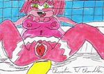  amy_rose awesome_face breasts chris_chan clitoris female gaping green_eyes hedgehog looking_at_viewer nipples pikachu pink pok&eacute;mon pussy rosechu solo tail translucent transparent_clothing what what_has_science_done 