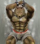  2010 abs angry armpits balls barazoku bdsm blush bondage boxers canine chains dog erection handcuffs kemono looking_at_viewer male muscles penis see_through shorts solo standing topless underwear wolf がウェｲｿ 
