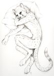  bed cheetah feline greyscale lying male mammal monochrome nduli nude on_side pillow plain_background sketch solo white_background 