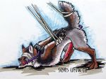  anal anal_penetration anthro balls bdsm bondage canine coyote cum feral male open_mouth paws penetration penis raised_tail siriuscoyote solo tail 