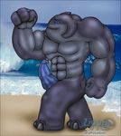  abs alien biceps big_muscles big_penis blue_eyes blue_penis erection flexing gantu lilo_and_stitch male muscles no_pupils pecs penis seaside solo unknown_artist unusual_penis water 