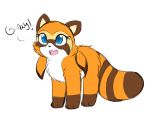  2018 absurd_res accent blue_eyes brown_ears countershade_torso countershading cute_fangs digital_media_(artwork) english_text female feral feralized fur hi_res looking_at_viewer mammal marine_the_raccoon markings open_mouth orange_fur papilrux procyonid raccoon simple_background smile socks_(marking) solo sonic_(series) speech_bubble striped_tail stripes text video_games white_countershading 
