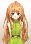  aisaka_taiga brown_eyes brown_hair cat_shi circlet cosplay deedlit deedlit_(cosplay) long_hair record_of_lodoss_war solo toradora! 