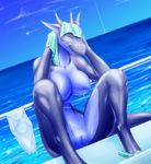  2009 beach breasts despina dragon drying equus eyes_closed female nude pussy scalie sea seaside solo swimsuit tail towel wet 
