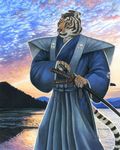  feline kacey male mammal samurai solo sword tail tiger water weapon 