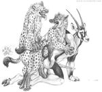  2007 africa anal antelope balls blotch digitigrade gay hooves hyena male oryx penis snarl tongue unguligrade 