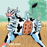  animated anus bovine cow crotchboob female gif loop male multi_pussy nightmare_fuel sex sextoon straight trypophobia udders what what_has_science_done 