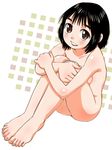  barefoot black_hair brown_eyes face feet ikurumi_kaoru leg_hug legs nude original short_hair sitting smile solo 