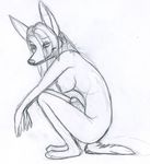  breasts canine crouching dickgirl dingo dog greyscale grin hair_over_eye half-closed_eyes herm intersex looking_at_viewer mammal monochrome nipples penguinarse penis plain_background sketch solo tail white_background 