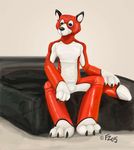  black_eyes bodysuit canine fox foxzatt inflatable latex male mammal rubber skinsuit solo 
