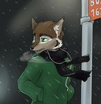  bus_stop canine coat cold coyote ear_tuft earbuds earphones fur green_eyes ipod kasirith male mammal scarf snow snowing solo storm tuft winter 