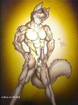 brian_wear canine fox long_penis looking_at_viewer male muscles penis pose smile solo tail 