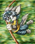  canine goggles male motion_blur rope seel_dingo skifi solo 