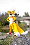  fox fursuit garden mammal miles_prower nature real sega solo sonic_(series) tail unknown_artist water 