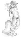  arjuna balls canine fox hair long_hair male mammal nude penis penis_tip pinup pose sheath solo 