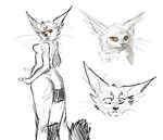  feline female redra sketch tagme 