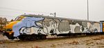  amazing awesome canine dog feral graffiti husky lay0wn mammal photo real siberian_husky train vehicle 