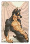  balls canine doberman dog ginko_dog male mammal nude penis penis_tip sheath solo 