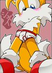 canine cub cute emerald-physics fox male mammal miles_prower sega sonic_(series) tails underwear young 