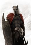  axe barbarian canine celtic cloak scar shield skull solo tatters warrior wolf zekit 
